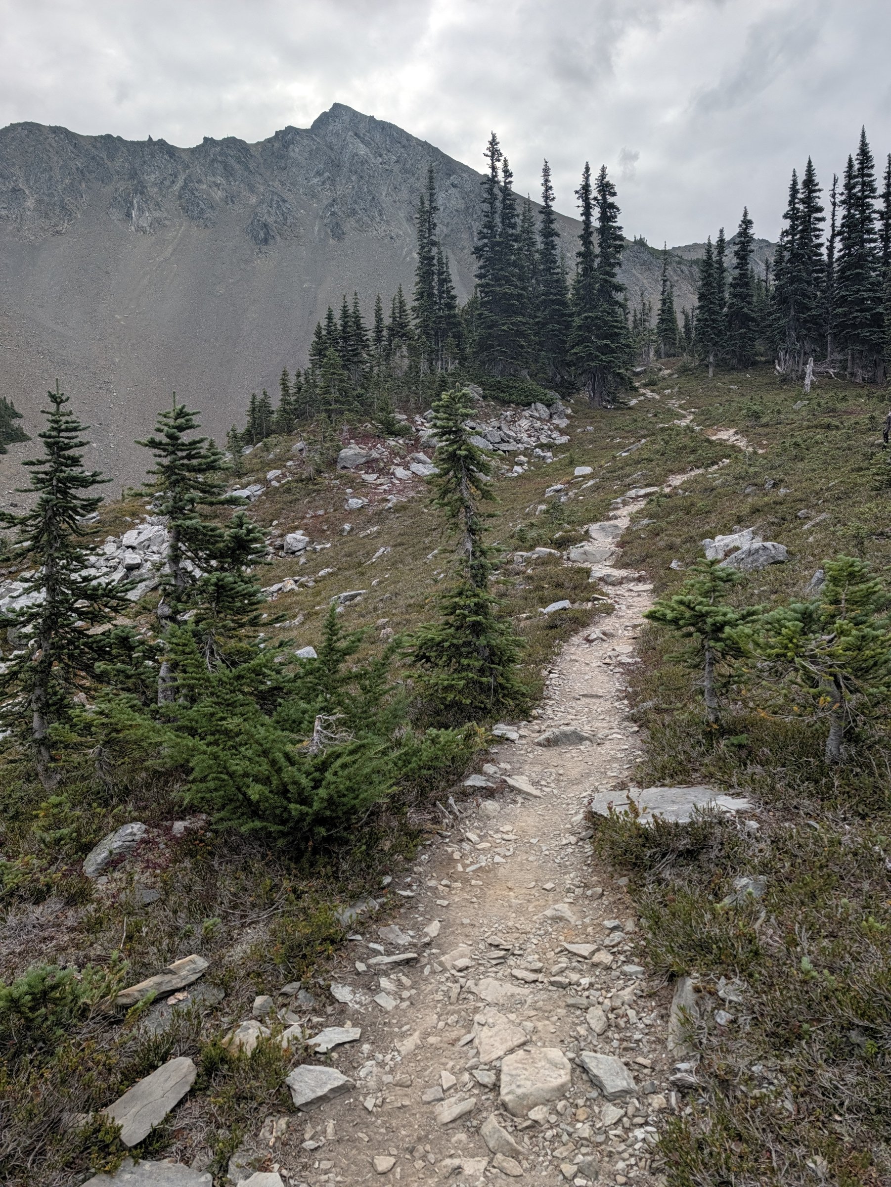 Rocky trail climbing through subalpine firs toward a gray peak under overcast skies