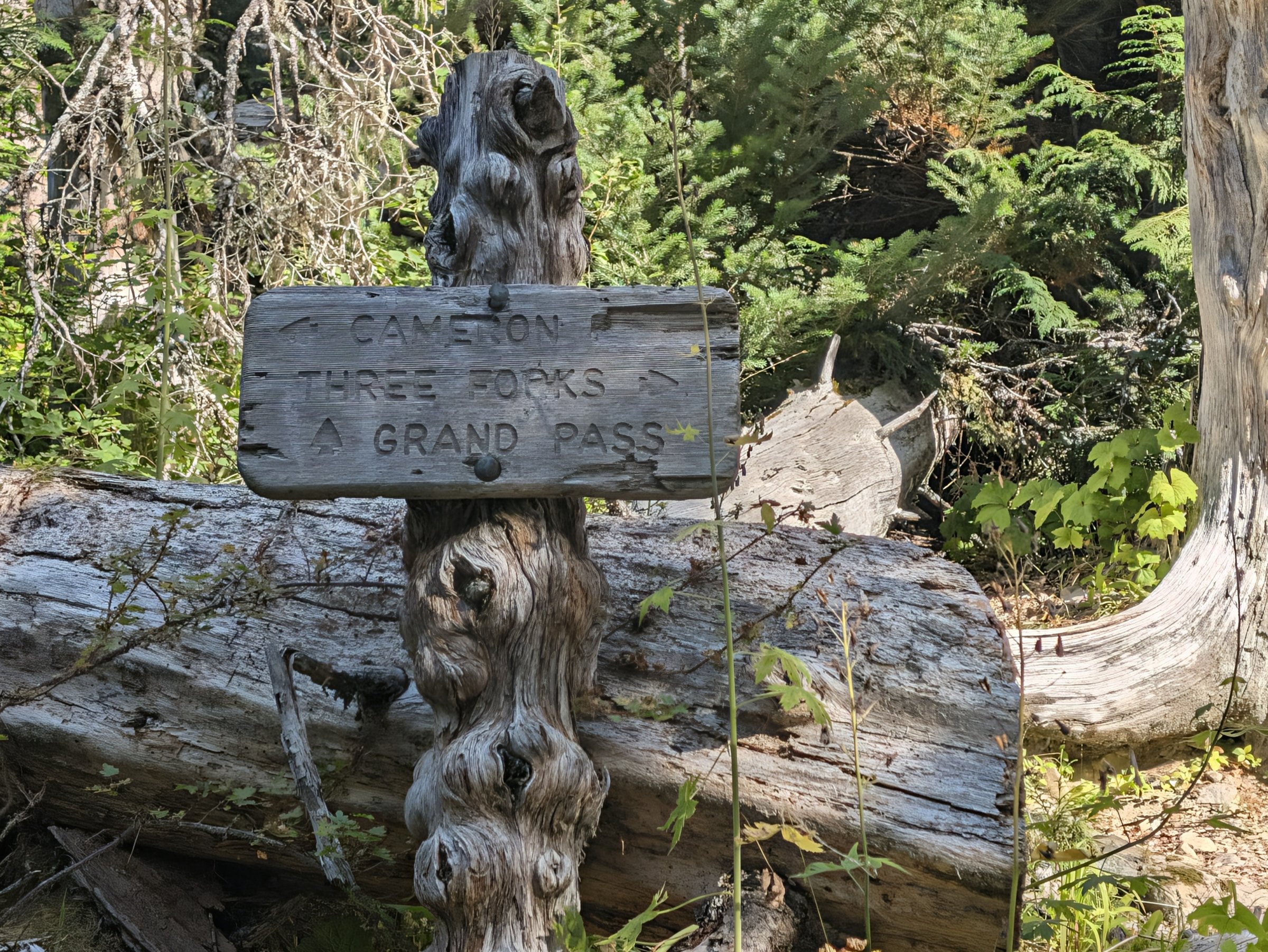 Weathered wooden trail sign pointing to Cameron, Three Forks, and Grand Pass