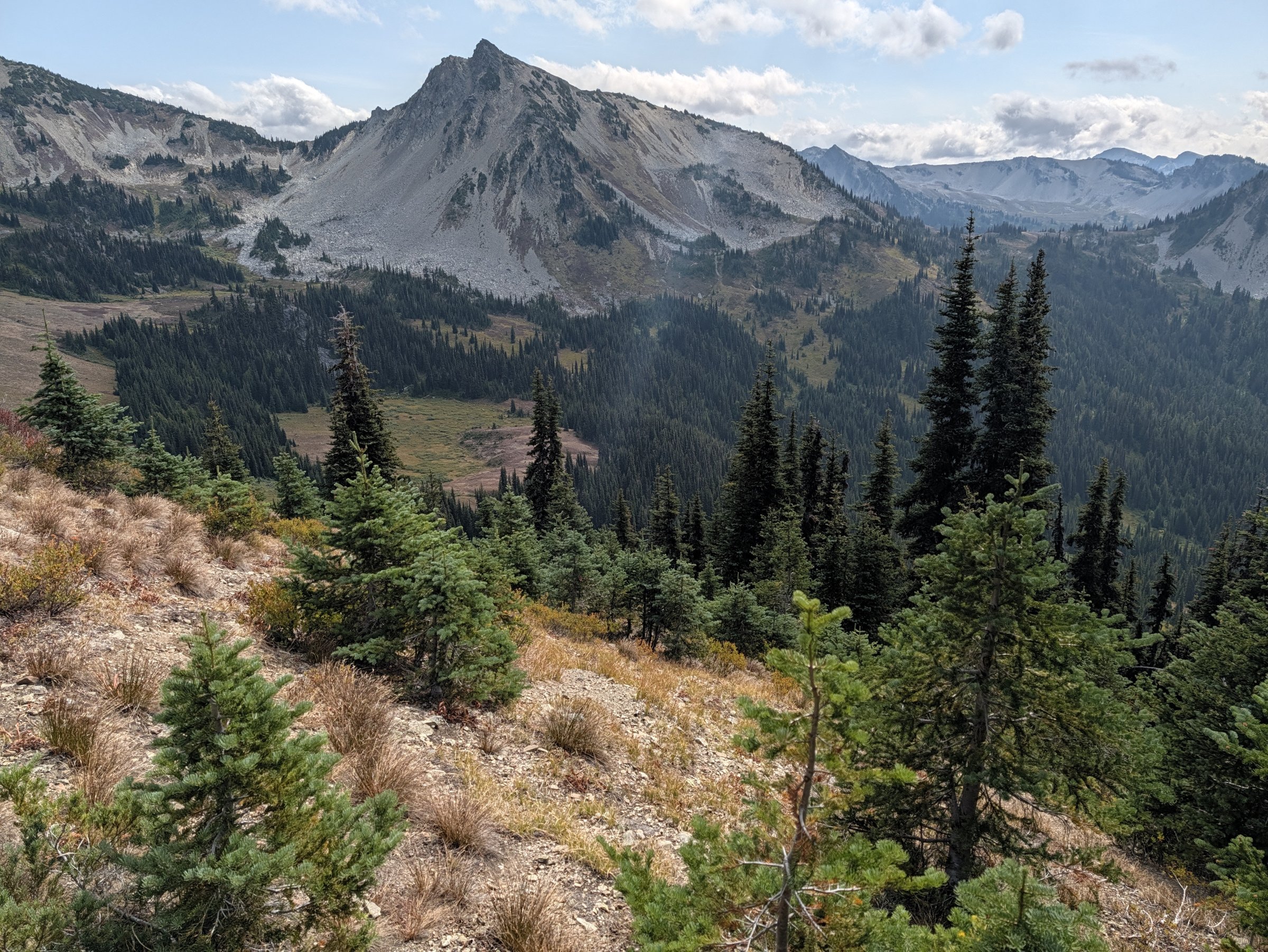 A pointed gray peak above a forested valley and meadow, seen through subalpine firs