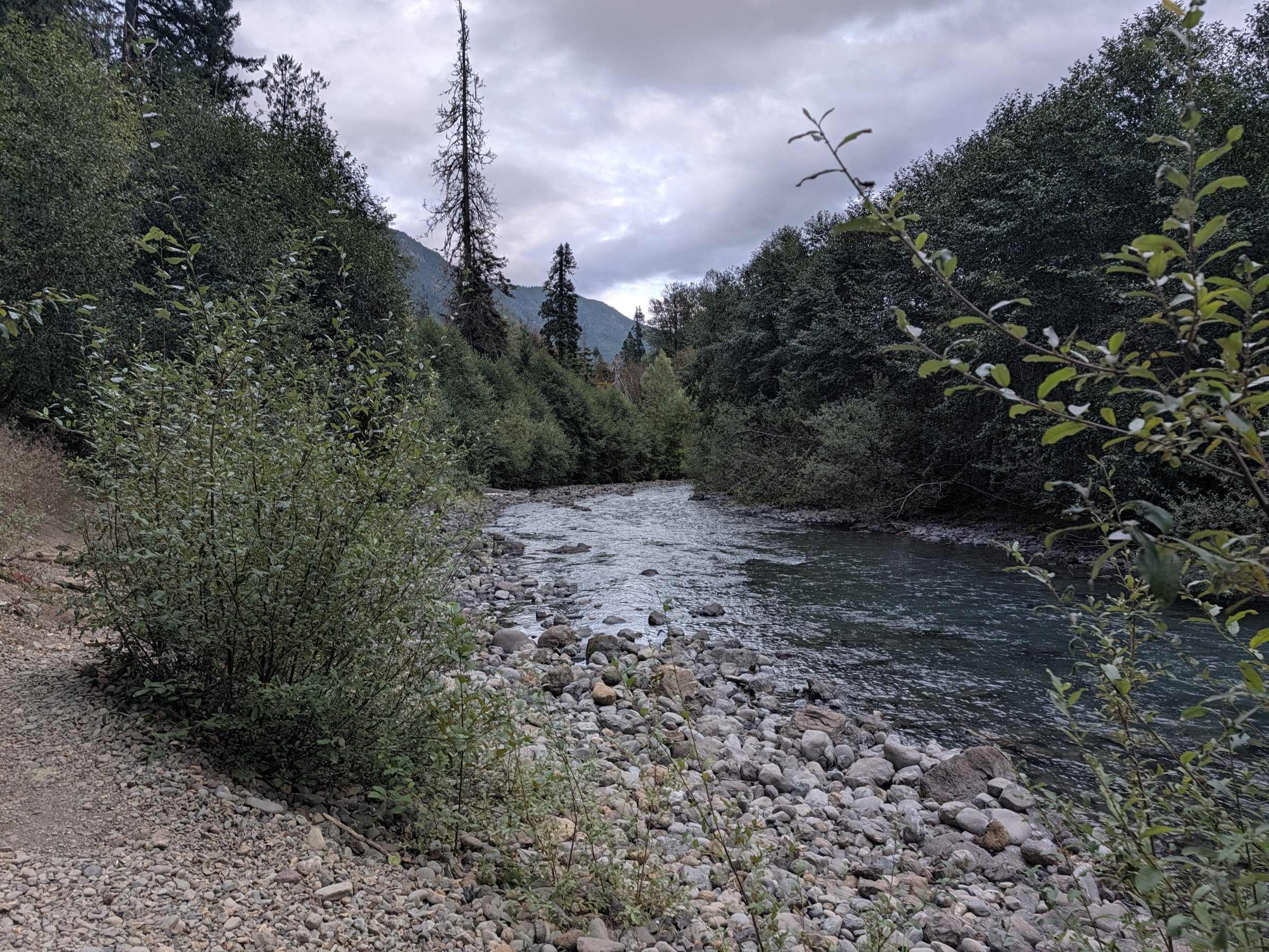 The Dosewallips River running over gray cobbles under a cloudy sky, with alder and forest on both banks